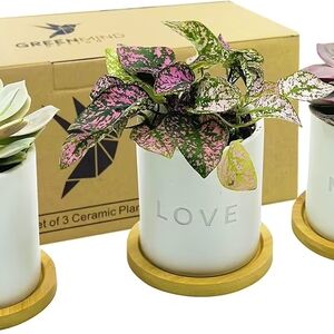 I Love Mom Ceramic Pots 3.5 inch White Mini Succulent Cactus Planter Pot w/Bambo